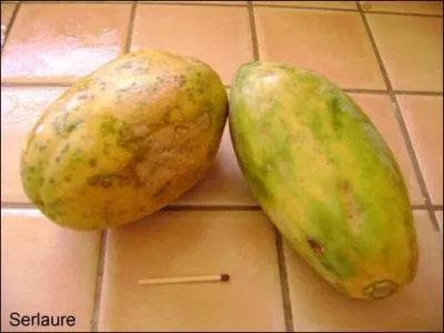 Qu'est-ce que c'est ?