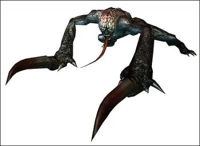 Comment s'appelle ce type de Licker ?