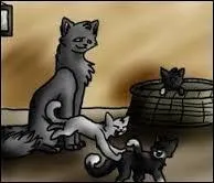 Qui sont ses frère et sœur ?