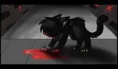 Pourquoi les chats de la ville font-ils de Tiny leur chef ?