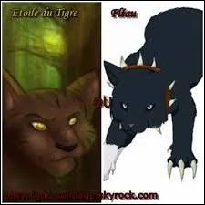 Que propose Étoile du Tigre à Fléau ?