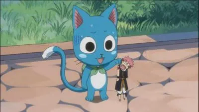 Quel est le meilleur ami de Natsu ?