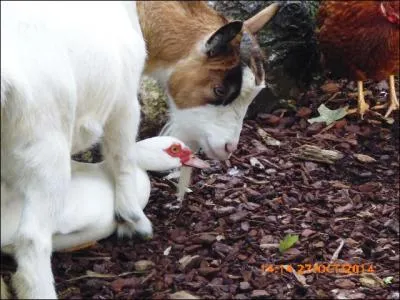 Que voyez-vous sur la photo ?