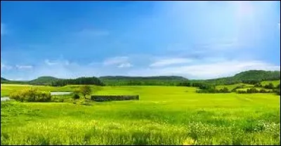 "El corazón cosido" est...