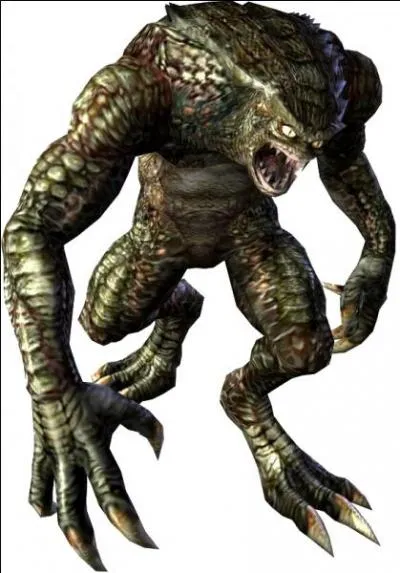 Combien y a-t-il de différent(s) type(s) de hunter dans ce jeu ?