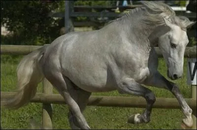 De quelle couleur est cette robe ?