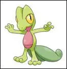 Ce starter vient de quelle région ?