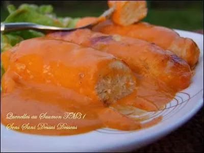 Ces quenelles de saumon baignent dans une sauce béchamel à laquelle on a juste rajouté de la tomate, quel est son nom ?