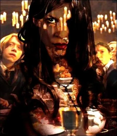 [Retour à la table 12 de la Grande Salle, au Bal de Noël de 1994]

- Et maintenant, avec quoi on va se caler les joues ?

- La dernière fois que j'ai mangé mexicain, j'avais le faubourg en feu... Harry ? Ça va ? Tu regardais dans le vague...

- Ouais ça va, ça va...

- On pourrait se rabattre sur ce truc français ; tu sais, Ron, quand la donzelle est venue nous frimer la tête avec sa soupe...