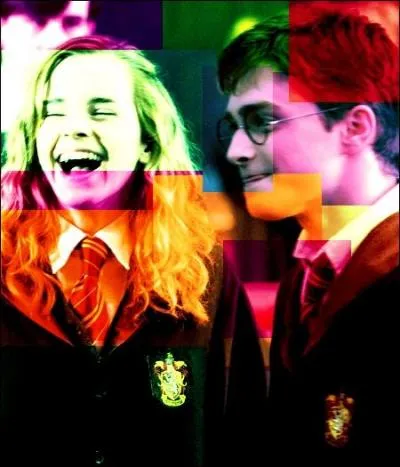 - Il a raison, c'est pas chouette ça.

- T'insulte pas Hedwige ! On pourrait faire la même chose avec ton chat... On dirait qu'il s'est pris le Magicobus dans la tronche. 

- No comment, Harry.

- Ton histoire drôle, Seamus, elle est : 

1) Pas drôle du tout
2) Me fait penser à
