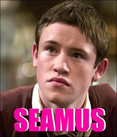 - Elle a raison Ron-Bespierre, rassieds-toi, m**de... On se calme et on boit frais... Tu prends quoi, Hermione ?

- Je tenterais bien un "rhum groseille" façon Cornélius Fudge, mais je ne le vois pas sur la carte ! 

- C'est normal...

- Comment ça, c'est normal ? Qu'est-ce qu'il a encore à nous dire, Seamus-la-Science ?