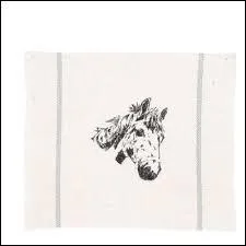 Quel est cet objet ?