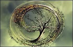 Que disent les Fraternels aux repas ?