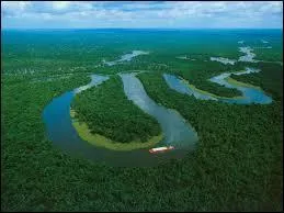 Comment qualifie-t-on l'Amazonie ?