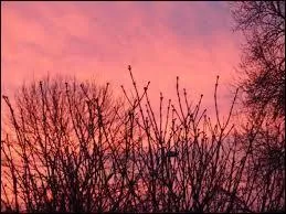 Pourquoi le ciel devient rose, le soir ?