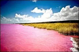 Comment s'appelle le lac rose situé en Australie ?