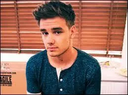 Où est né Liam Payne ?