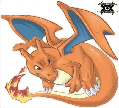 Combien de méga-évolutions peut faire Dracaufeu ?