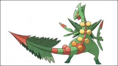 Quand Jungko méga-évolue de quel type devient-il ?