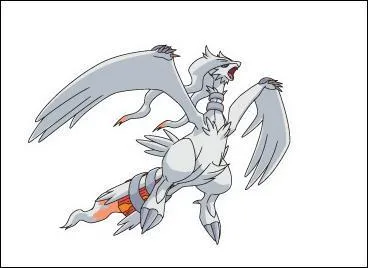De quel type est Reshiram ?