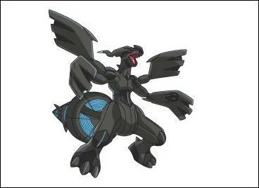 De quel type est Zekrom ?