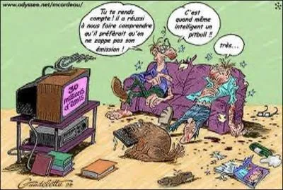 En plein Central Park, un courageux promeneur tue un pitbull qui attaquait une petite fille, un policier lui dit : bravo vous êtes un héros, demain, on lira dans la presse qu'un courageux New-Yorkais à sauvé une petite fille des crocs d'un chien ! Mais je ne suis pas New-Yorkais dit l'homme, ah bon vous êtes quoi ? Je suis Pakistanais ! Et le lendemain on peut lire dans la presse ...