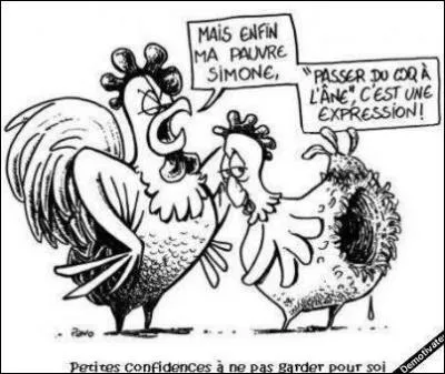 A la ferme : Maman, ce matin j'ai vu le coq s'accoupler dix fois ! - Ah bon, va dire ça à ton père, il comprendra ! Papa, maman m'a dit de te dire que ce matin le coq s'était accouplé dix fois et que tu comprendrais - Ah bon, dix fois avec la même poule ? Non ...