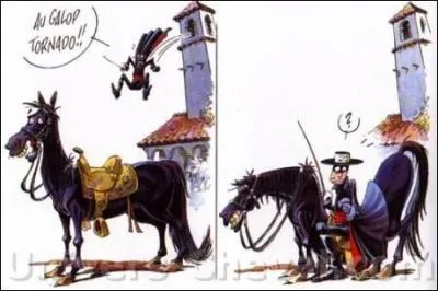 Docteur, c'est incroyable mais je crois que je suis tombé amoureux de mon cheval ! De votre cheval ? Oui, et même souvent je le désire sexuellement ! Sexuellement ? Mais dites-moi, votre cheval, c'est un mâle ou une femelle ?