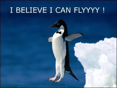 Les sept nains vont au Pôle nord voir le père Noël, Atchoum lui pose une question ; dis-moi Père Noël, est-ce qu'il y a des naines comme nous, mais noires, au Pôle nord. Pas à ma connaissance dis le Père Noël, je n'en ai jamais vues. Atchoum se retourne vers Simplet ...