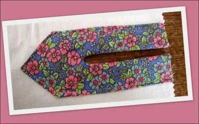 Quelle est leur forme ?