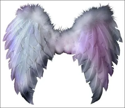 Que voudrait avoir le serpent ?