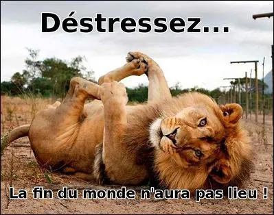 À qui ressemble le chien ?