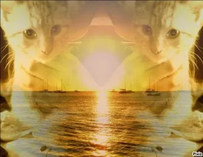 Lorsque l'appareil accepte de s'allumer, Besou arrive sur une émission nommée "Bienvenue chez nous ! ". Sur quelle chaîne télévisée est-elle ?