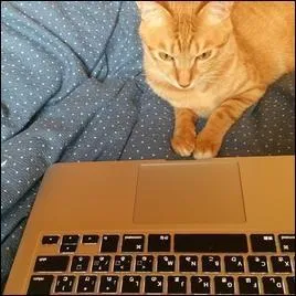 Affamée, elle se dirige vers un énorme paquet de chips. Avant cela, elle va voir "Les Zouzous" sur...