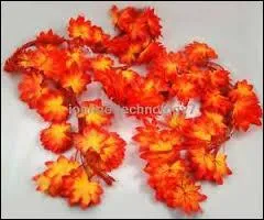 Quand célébrez-vous les noces d'érable ?