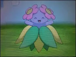 En quoi évolue ce Pokémon ?