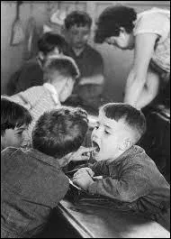 Celui qui est vif et malicieux, sans m&eacute;chancet&eacute; :