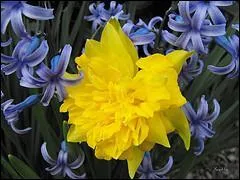 Qu'admire-t-on sur cette image ?