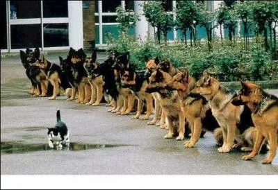 Trouvez le mot mystère !