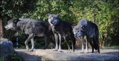 Trouvez le nom d'un parc national !