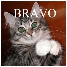 Projectile d'artillerie sphérique :