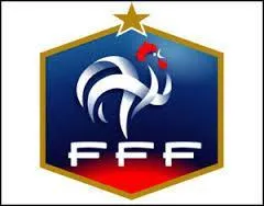 Quel animal est l'emblème de l'équipe de France de football ?