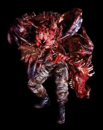 Combien de Duvalia au maximum, peut-on croiser dans le chapitre 6-1 ?