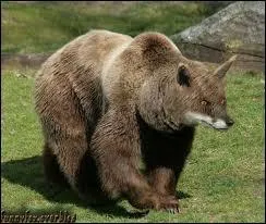 Quel est ce mélange ?