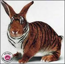 Quel est ce mélange ?