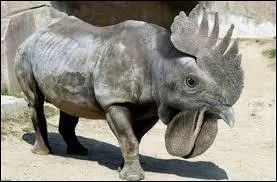 Quel est ce mélange ?