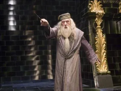 Dumbledore... Qu'enseignait-il avant d'être directeur ?