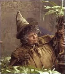 Le pr. Chourave est un professeur assez gentil... Son prénom et sa maison sont :