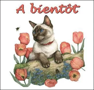 Panier tressé, sans anse, fermé par un couvercle, pour transporter des huîtres, du poisson, du gibier :