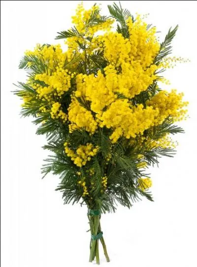 Terme ancien. Charretier payé pour enlever les boues des rues avec un tombereau :